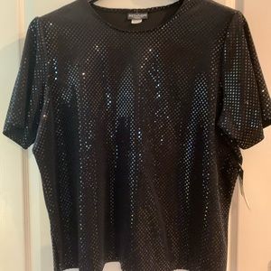 Women’s Plus Size Sparkle Top 2X New W/ Tags
